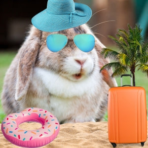 🏖️ FERIEPASNING AF KANINER  🏖️