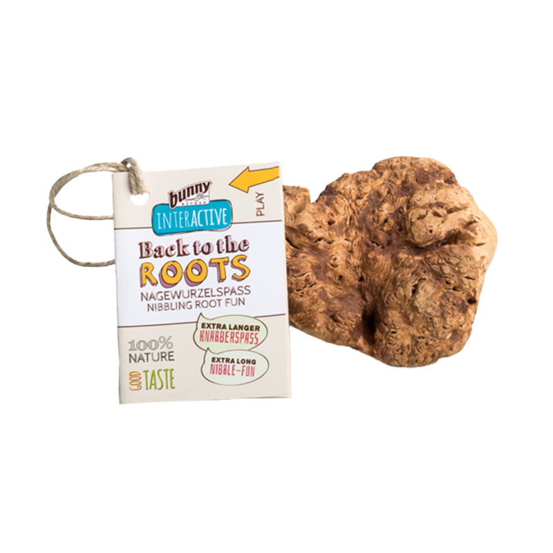 Gnavesjov begynder med denne rod til kaniner, marsvin og andre gnavere