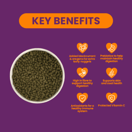 Burgess Excel Adult marsvinfoder - med solbær og oregano 10 kg