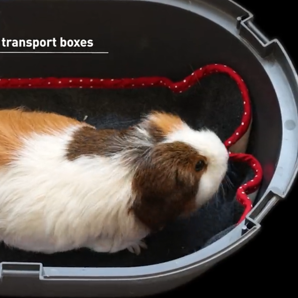 Bunny Bedding MINI - tæppe med til transportkassen