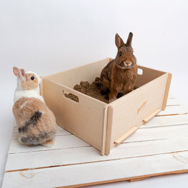 Gravekasse til din kanins yndlingsbeskæftigelse