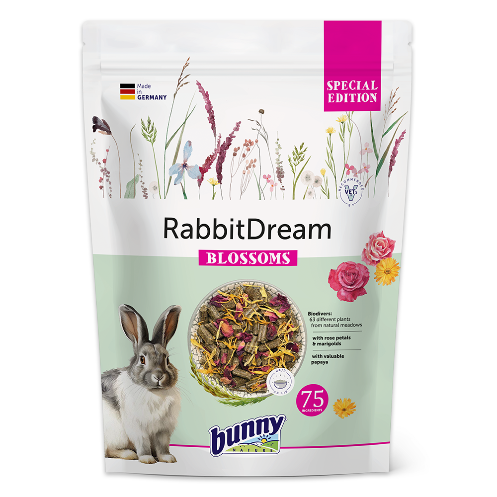 RabbitDream SPECIAL EDITION BLOSSOMS forside