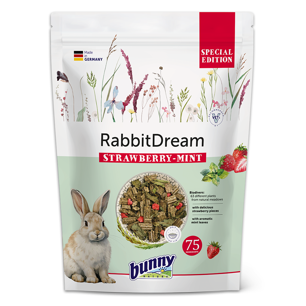 RabbitDream SPECIAL EDITION STRAWBERRY-MINT forside