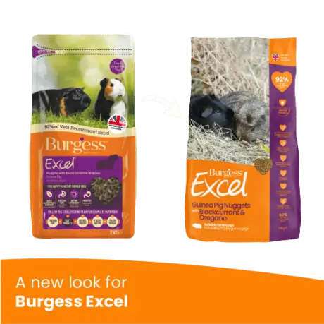 Burgess Excel Adult marsvinfoder - med solbær og oregano (10 kg)