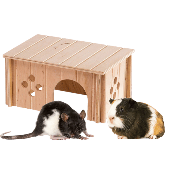 Ferplast hus til marsvin