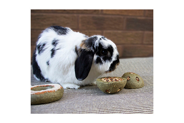 Rosewood Treat n Gnaw Bunny Buns