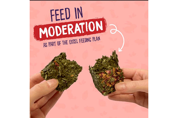Burgess Excel Nature Snacks - Forage & Feast Bar med Rose 60g